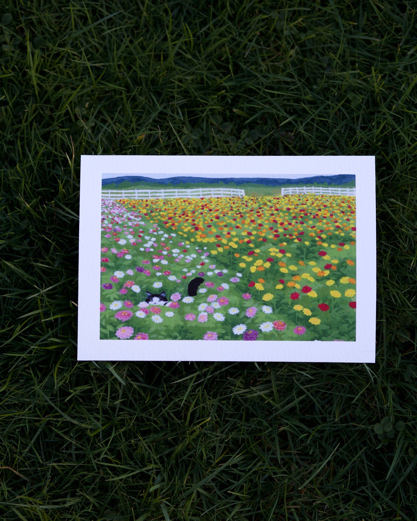 Kitty in the Flower Field Print