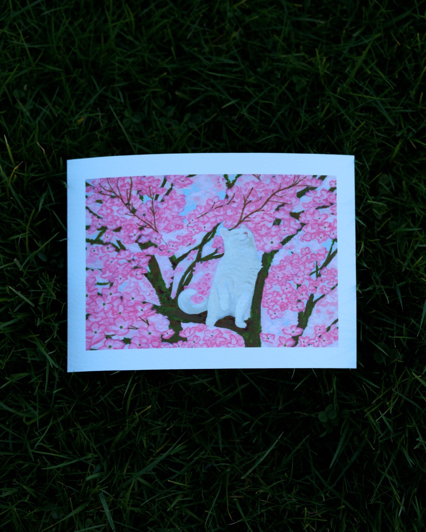 Kitty in the Dogwoods Print 5x7