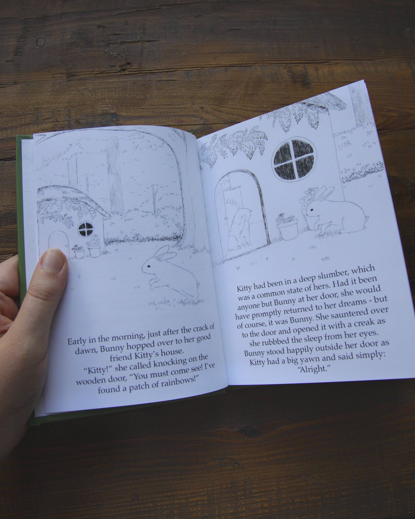 Kitty and Bunny (A children's book)